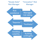 innovation risk manager